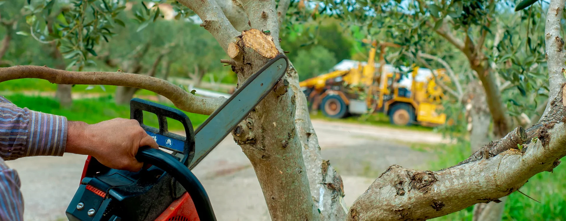 SG Outdoor Solutions hero1